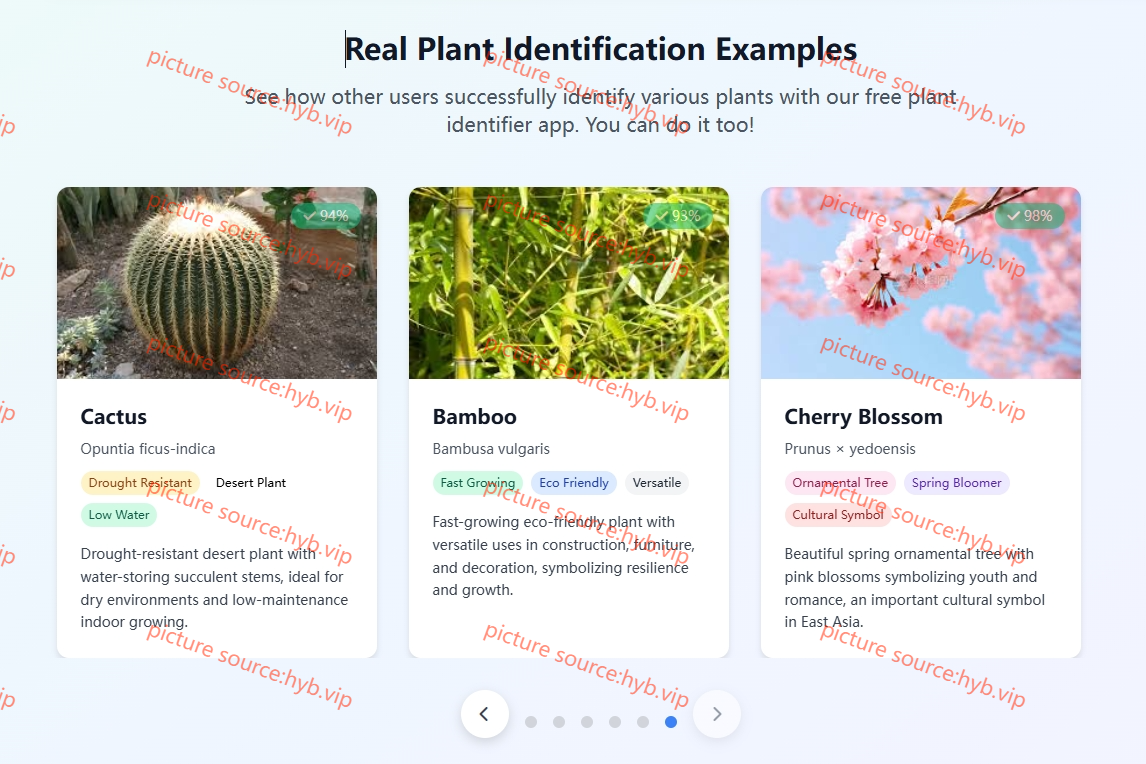 Free Plant Identifier
